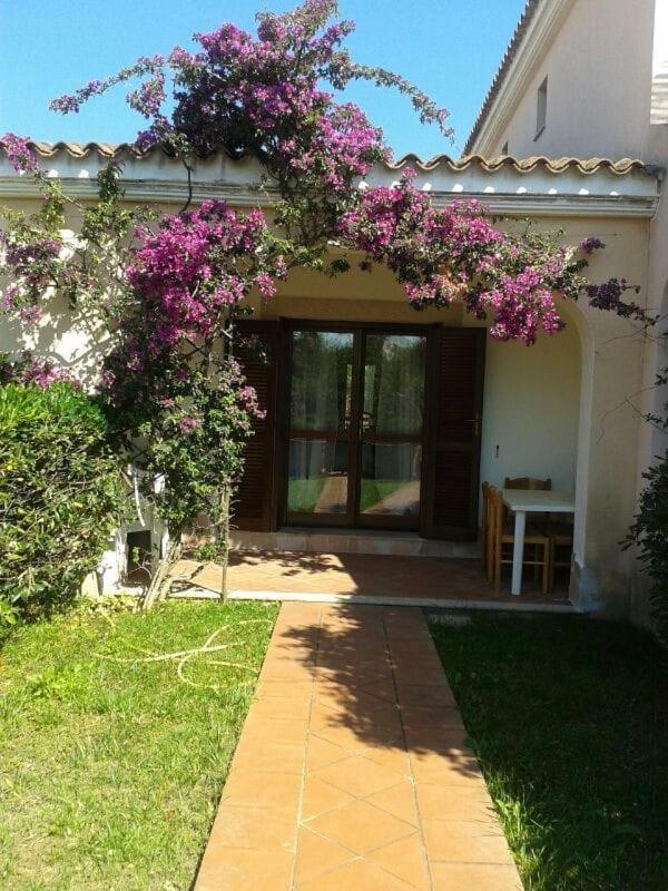 Casetta Le Tre Querce San Teodoro  Exteriér fotografie